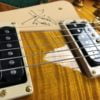 1998 Gibson Les Paul Standard -Jimmy Page Signature 5