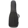 Reunion Blues Continental Voyager Double Electric Guitar Case 3 Reunion Blues Continental Voyager